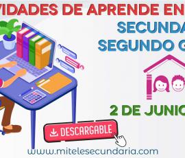 Aprende en casa 2 de junio. Actividades descargables. Secundaria segundo grado