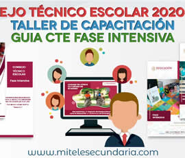 Materiales para Capacitación Docente y la Fase Intensiva del CTE 2020-2021