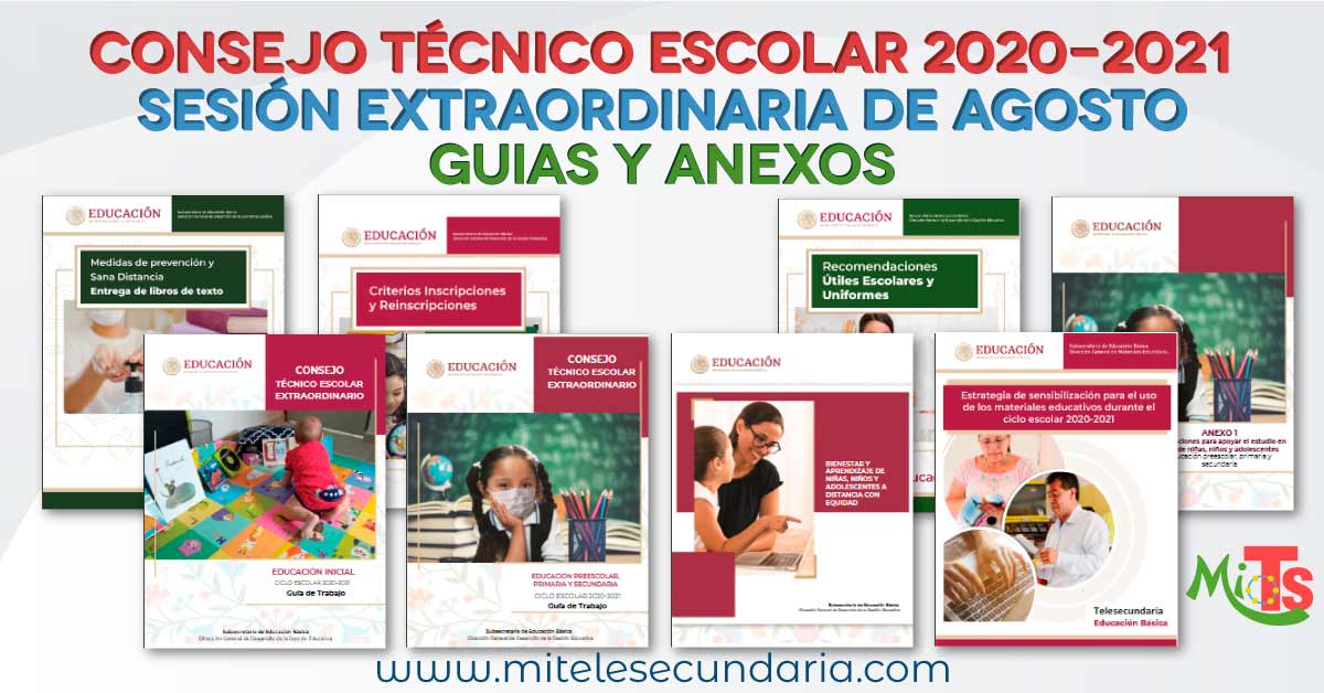 Guía para el CTE Sesión Extraordinaria de agosto Ciclo Escolar 2020-2021