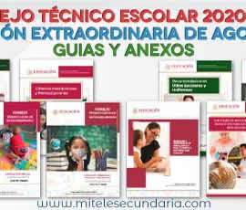 Guía para el CTE Sesión Extraordinaria de agosto Ciclo Escolar 2020-2021