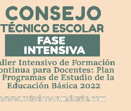 Fase Intensiva de Consejo Técnico Escolar Ciclo Escolar 2022-2023