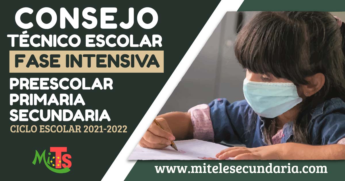 Guía definitiva para el CTE Fase Intensiva. Preescolar, Primaria y Secundaria. Ciclo Escolar 2021-20