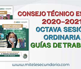 Guía para el CTE Octava Sesión Ordinaria  Ciclo Escolar 2020-2021