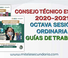 Guía para el CTE Octava Sesión Ordinaria Ciclo Escolar 2020-2021