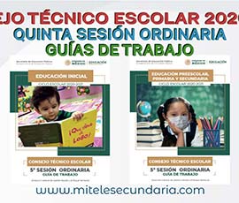 Guía para el CTE Quinta Sesión Ordinaria Ciclo Escolar 2020-2021