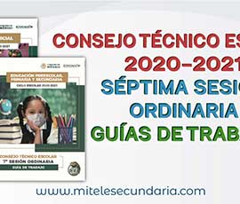 Guía para el CTE Séptima Sesión Ordinaria  Ciclo Escolar 2020-2021