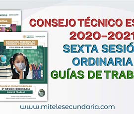 Guía para el CTE Sexta Sesión Ordinaria Ciclo Escolar 2020-2021
