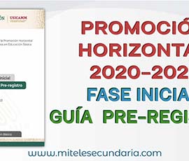 Guía para el Pre-registro a la Promoción Horizontal 2021
