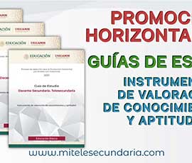 Guías de estudio Promoción Horizontal 2021. Instrumento de valoración de conocimientos y apritudes.
