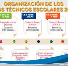 Organización de los Consejos Técnicos Escolares 2019-2020